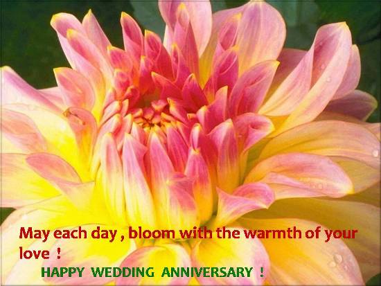 Wedding Anniversary Wishes For A Friend. Warm wishes on the wedding