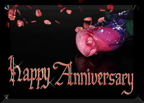 Pink Rose Anniversary. Free Happy Anniversary eCards, Greeting Cards