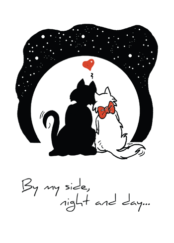 Our Anniversary, Two Cats At Night!