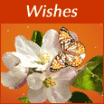 celebrateanniversary.com : Anniversary : To a Couple - I Wish You Joy...