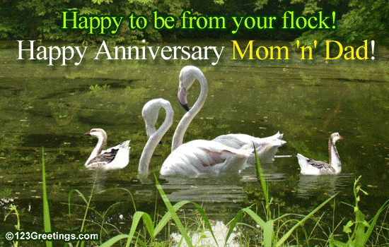 Happy Anniversary! Change music: Wish your parents through this e card.