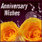 Special Anniversary Wishes!
