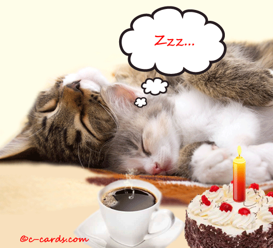 Catnapping. Free Belated Birthday Wishes eCards, Greeting Cards | 123