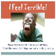 I Feel Terrible!