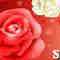 Sis, Ur In My Heart!