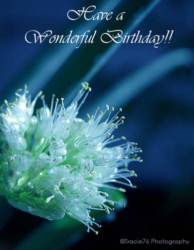 ... Birthday Wishes. Free Flowers eCards, Greeting Cards | 123 Greetings