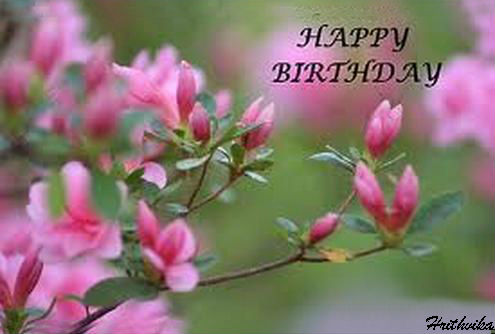 ... Birthday Wish. Free Flowers eCards, Greeting Cards | 123 Greetings