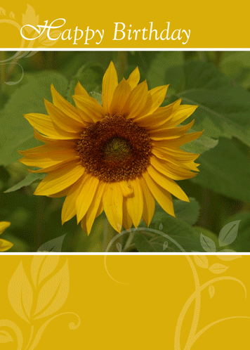Sunflower Card To Say Happy Birthday! Free Flowers eCards | 123 Greetings