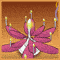 Flower Candle Wish!