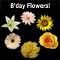 Birthday Flowers!