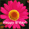 Special Flowers For Your Birthday!