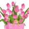 Birthday Tulips In A Bag.
