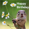 Squirrel%92s Birthday Wish!