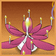 Flower Candle Wish!