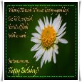Birthday Wishes.