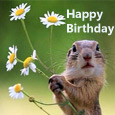 Squirrel’s Birthday Wish!