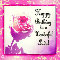 Pink Rose For A Special Lady.