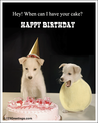 happy birthday funny friend ecards