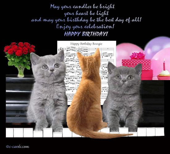 Cats Birthday Boogie! Free Funny Birthday Wishes eCards, Greeting Cards |  123 Greetings