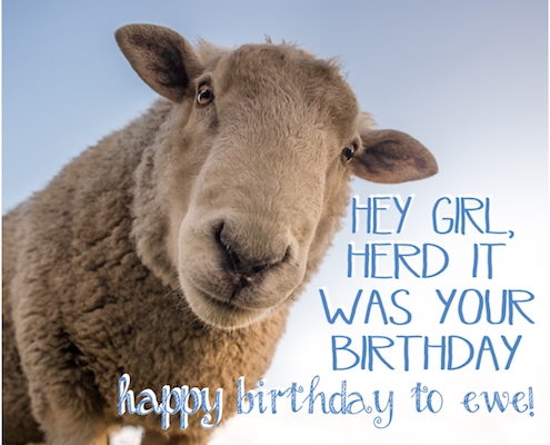 Hey Girl, Happy Birthday To Ewe! Free Funny Birthday Wishes eCards