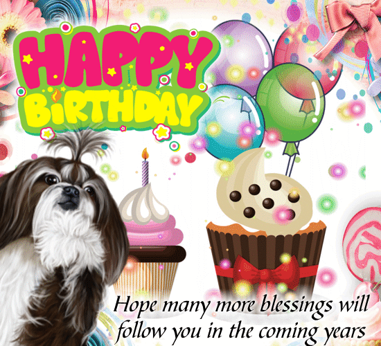 A Wacky Birthday Surprise Wish Card