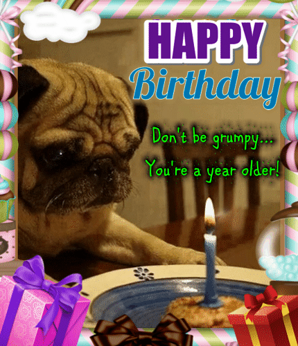 You’re A Year Older! Free Funny Birthday Wishes eCards | 123 Greetings