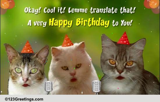 Cat's Singing Happy Birthday! Free Funny Birthday Wishes eCards 123