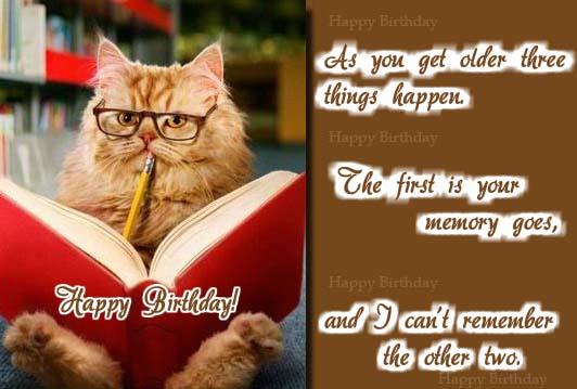 happy birthday friend funny cat