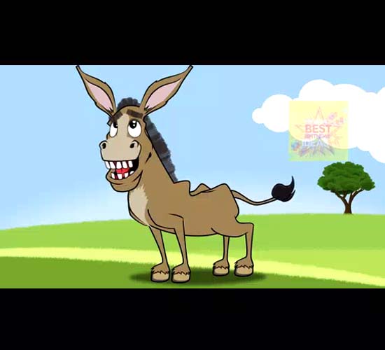 A Birthday Donkey Card Song Video. Free Funny Birthday Wishes eCards | 123  Greetings