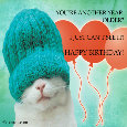 Home : Birthday : Fun - Can&rsquo;t See.