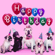 Funny Dog Birthday Wish...