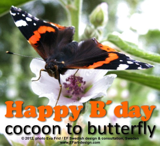 From Cocoon To A Butterfly. Free Happy Birthday eCards, Greeting Cards 123 Greetings