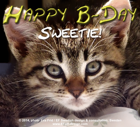 Happy Birthday Sweetie. Free Happy Birthday eCards, Greeting Cards