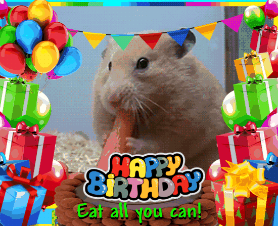 Eat All You Can On Your Birthday!