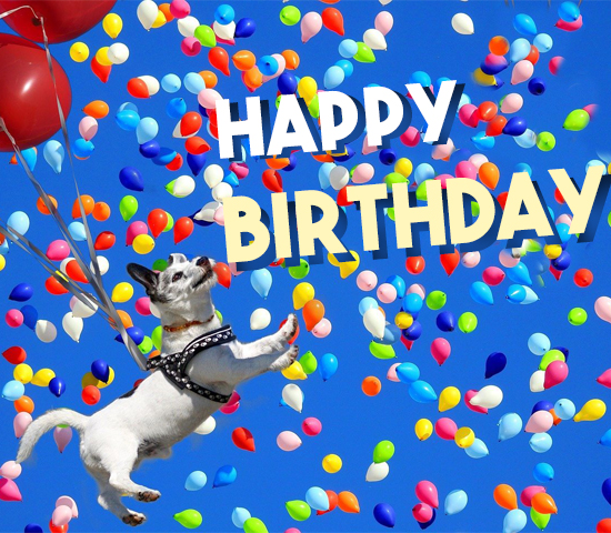 Colorful Balloons Birthday Puppy Free Happy Birthday eCards | 123 Greetings