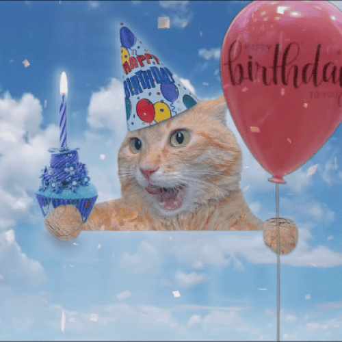 Happy Happy Happy Cat on Make a GIF