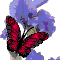 Magical Birthday Butterflies.