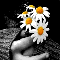 May Your Birthday Blossom.