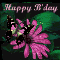 Home : Birthday : Happy Birthday - Laughter And Love Greeting Cards.
