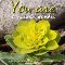 You Are A Natural Wonder.