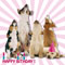 Dogs Are Singing For Your Birthday!