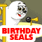 Happy Birthday Seals.