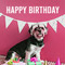 Birthday Wishes From Cute Dog.