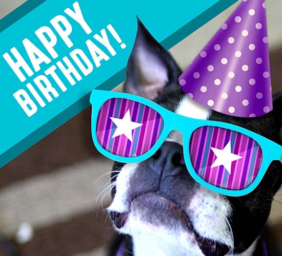 Birthday Puppy Wearing Sunglasses. Free Happy Birthday 