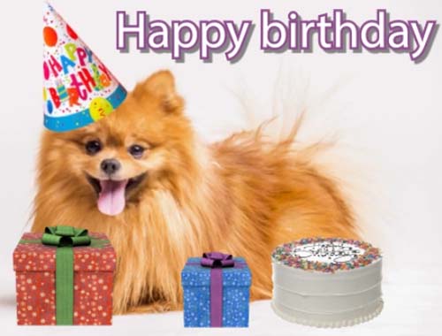 Singing Dog For Your Birthday Free Happy Birthday Ecards 123 Greetings