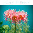H A P P Y  B I R T H D A Y.