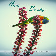 Happy Birthday!