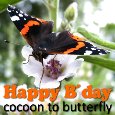 From Cocoon To A Butterfly.