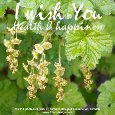 I Wish You Health & Happiness.