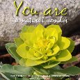 You Are A Natural Wonder.